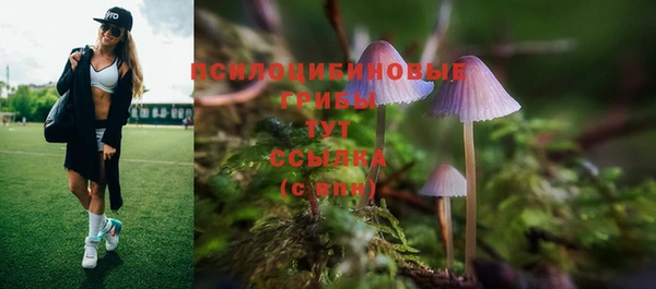 твердый Аркадак