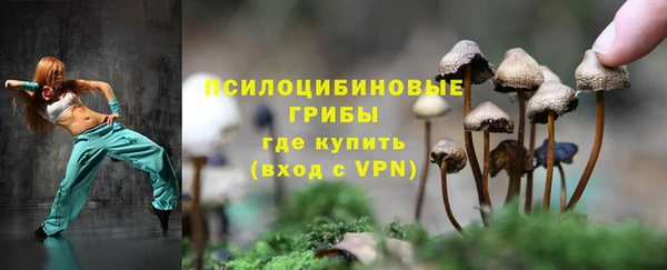 хмурый Армянск