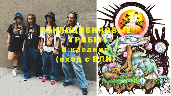 ПСИЛОЦИБИНОВЫЕ ГРИБЫ Арсеньев