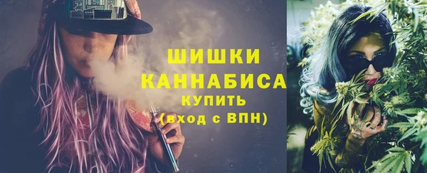 ПСИЛОЦИБИНОВЫЕ ГРИБЫ Арсеньев