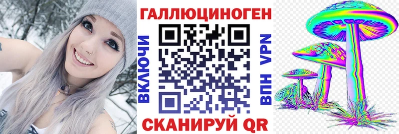 купить наркотик  Болотное  Псилоцибиновые грибы GOLDEN TEACHER 